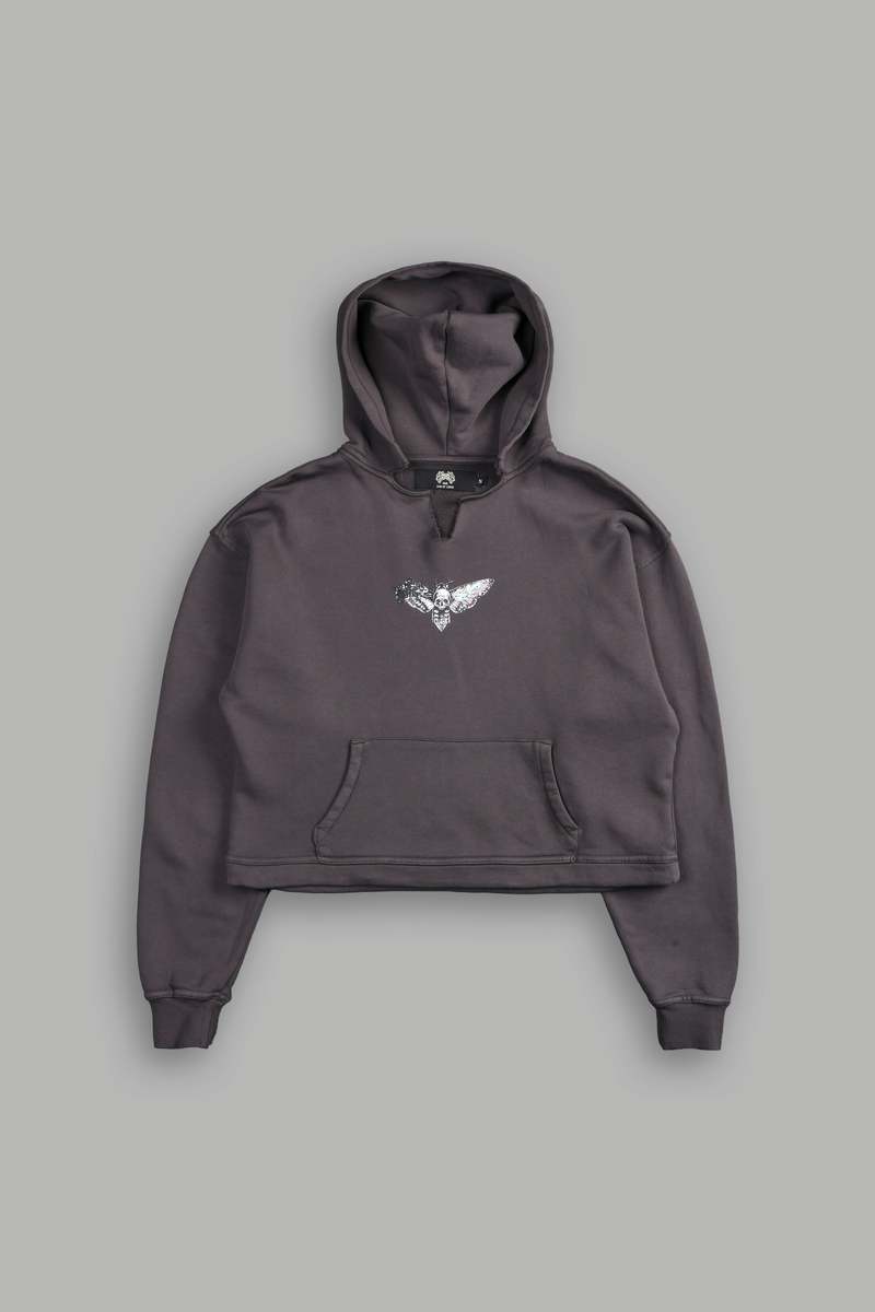 Darc Sport Everlasting Moth 